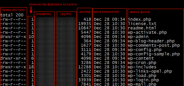 Вывод ls -l в корневой директории WordPress