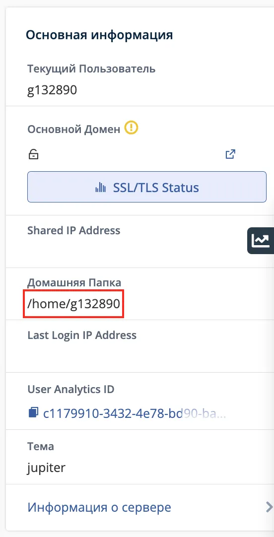 Основная информация в cPanel